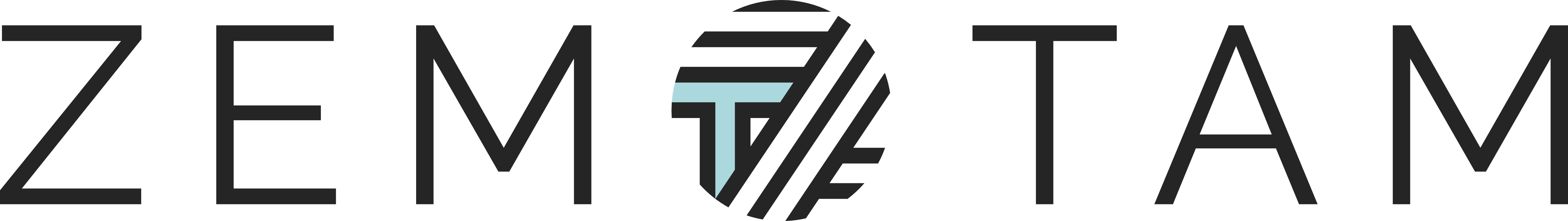 zemtam logo